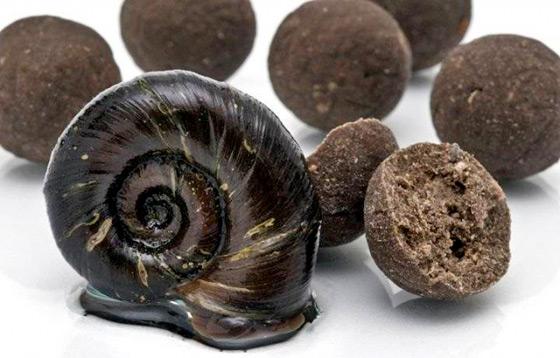 bile colorate - melci.jpg